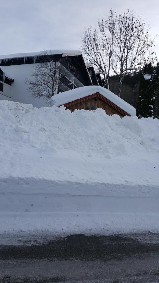 Fewo Friado Im Ferienpark Oa - Ohne Zusatzkosten Nach Anreise - Mit Hallenbad, W-Lan, Pkw-Garage, Kurtaxe Mit Allgaeu-Walser-Pass, Bett- Und Handtuch-Waesche Sowie End-Reinigung Міссен-Вільгамс Екстер'єр фото
