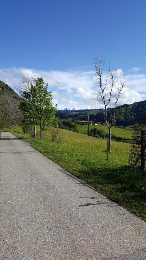 Fewo Friado Im Ferienpark Oa - Ohne Zusatzkosten Nach Anreise - Mit Hallenbad, W-Lan, Pkw-Garage, Kurtaxe Mit Allgaeu-Walser-Pass, Bett- Und Handtuch-Waesche Sowie End-Reinigung Міссен-Вільгамс Екстер'єр фото